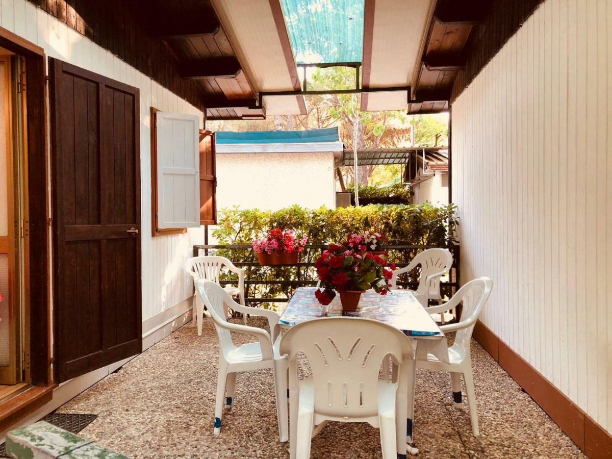 Nuovo Campsite Massa (Tuscany)