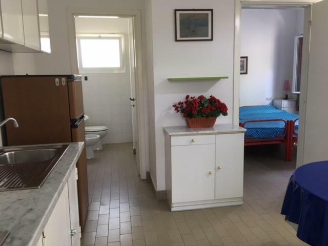 Campsite Nuovo Massa (Tuscany)