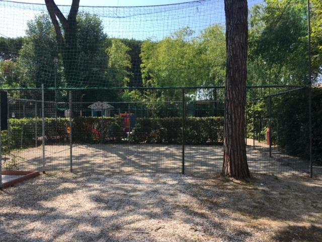 Nuovo *